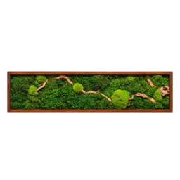 Tablou orizontal cu mușchi verde și lemn natural, ramă maro 100×20 cm – vedere frontală