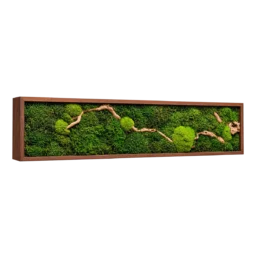 Tablou orizontal cu mușchi verde și lemn natural, ramă maro 100×20 cm – vedere laterală stânga